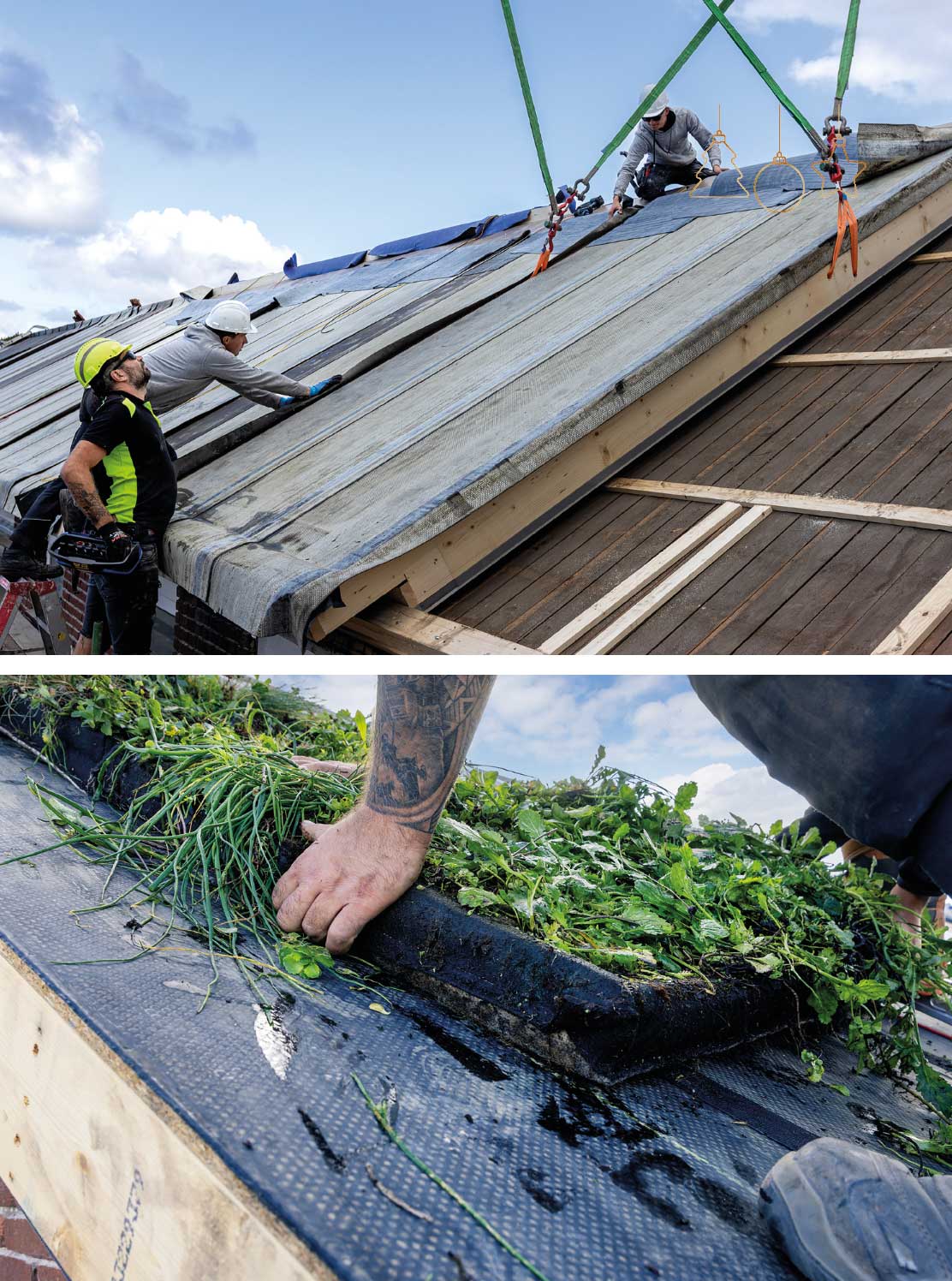 experts maken een hellend groen dak