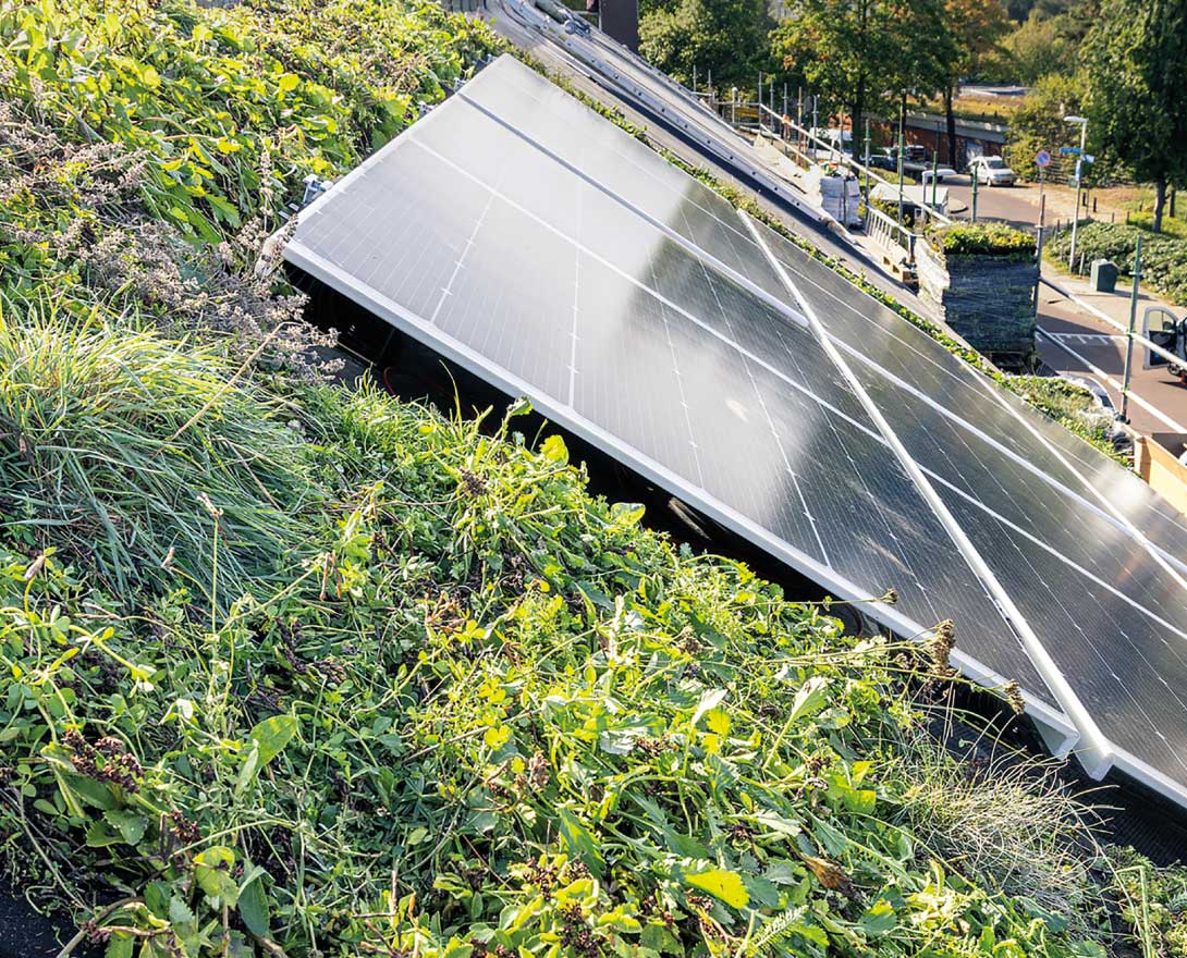 hellend groen dak met zonnepaneel
