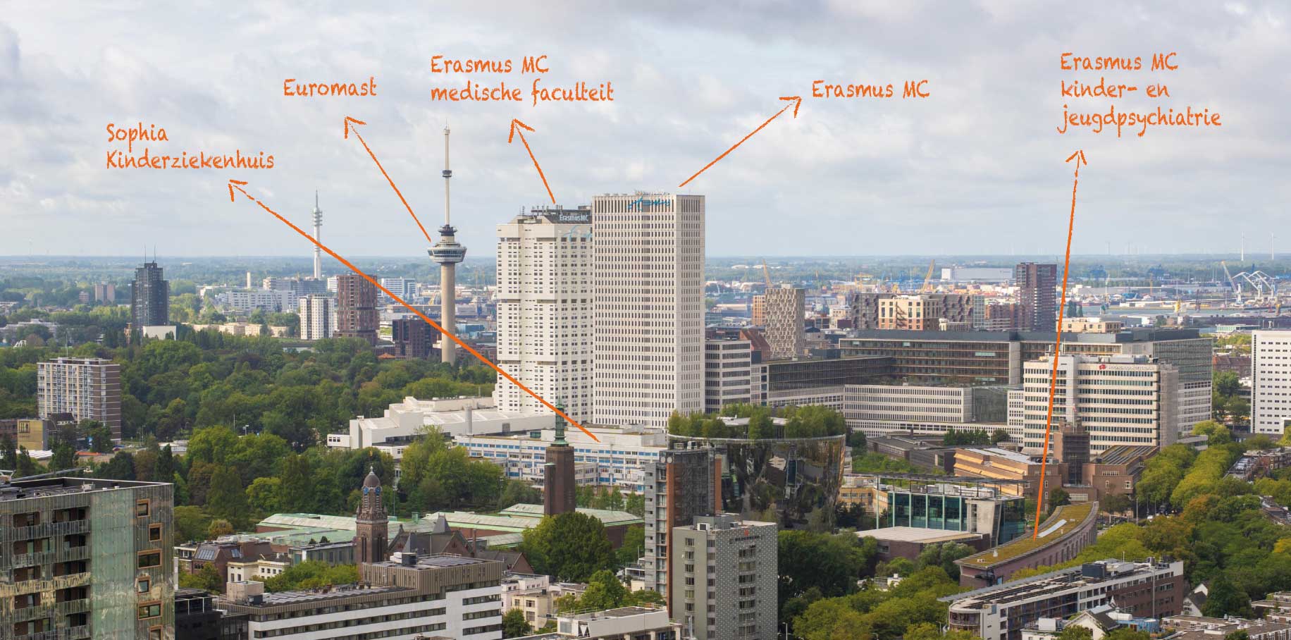 Rotterdamse skyline van Wédéflex daken