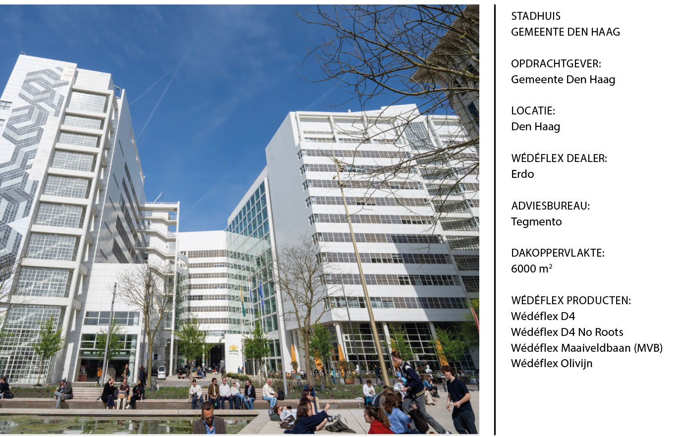 projectomschrijving Gemeente Den Haag

