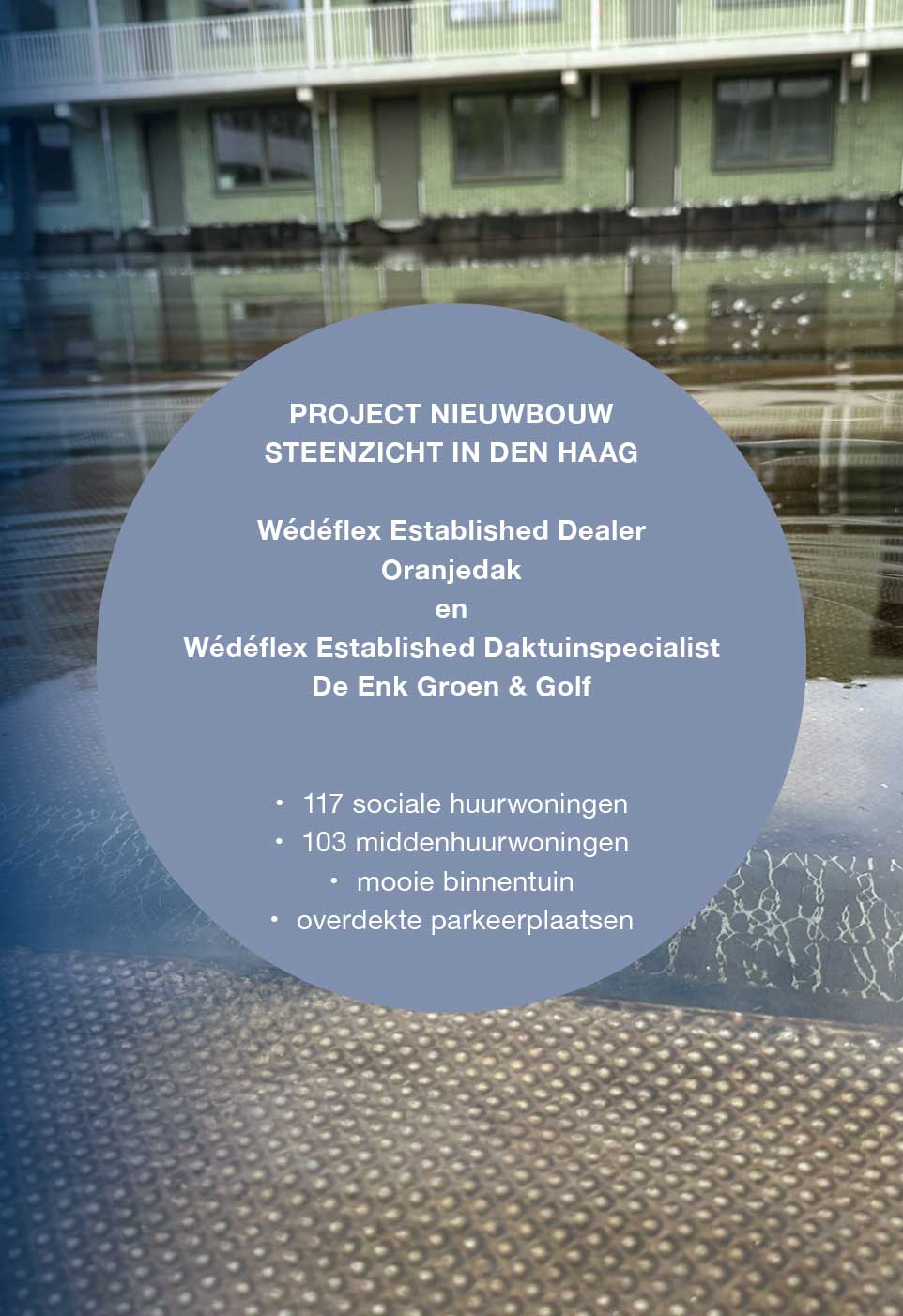 dak steenzicht den haag