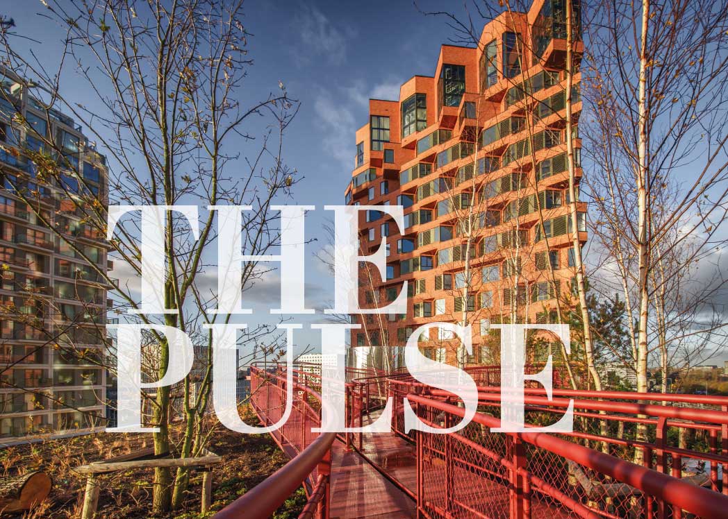 the pulse dak wedeflex